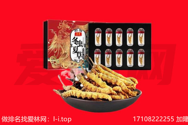 巴中南江回收虫草.jpg